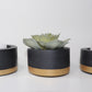 Decorative Plant Pots