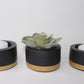 Decorative Plant Pots