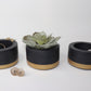 Decorative Plant Pots