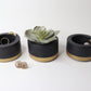 Decorative Plant Pots