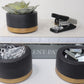 Decorative Plant Pots